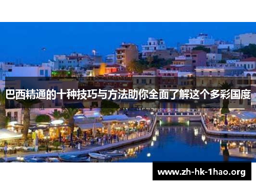 巴西精通的十种技巧与方法助你全面了解这个多彩国度