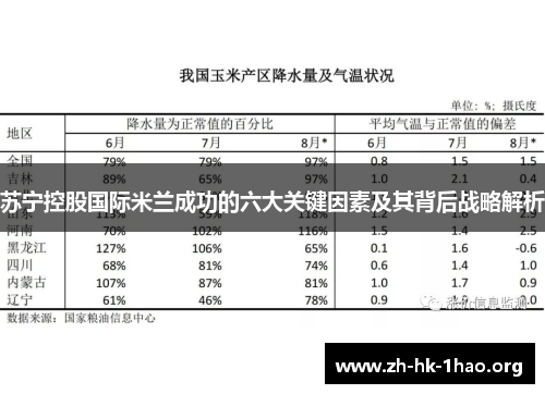 苏宁控股国际米兰成功的六大关键因素及其背后战略解析