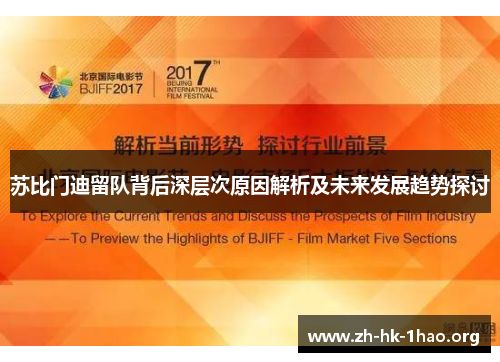 苏比门迪留队背后深层次原因解析及未来发展趋势探讨